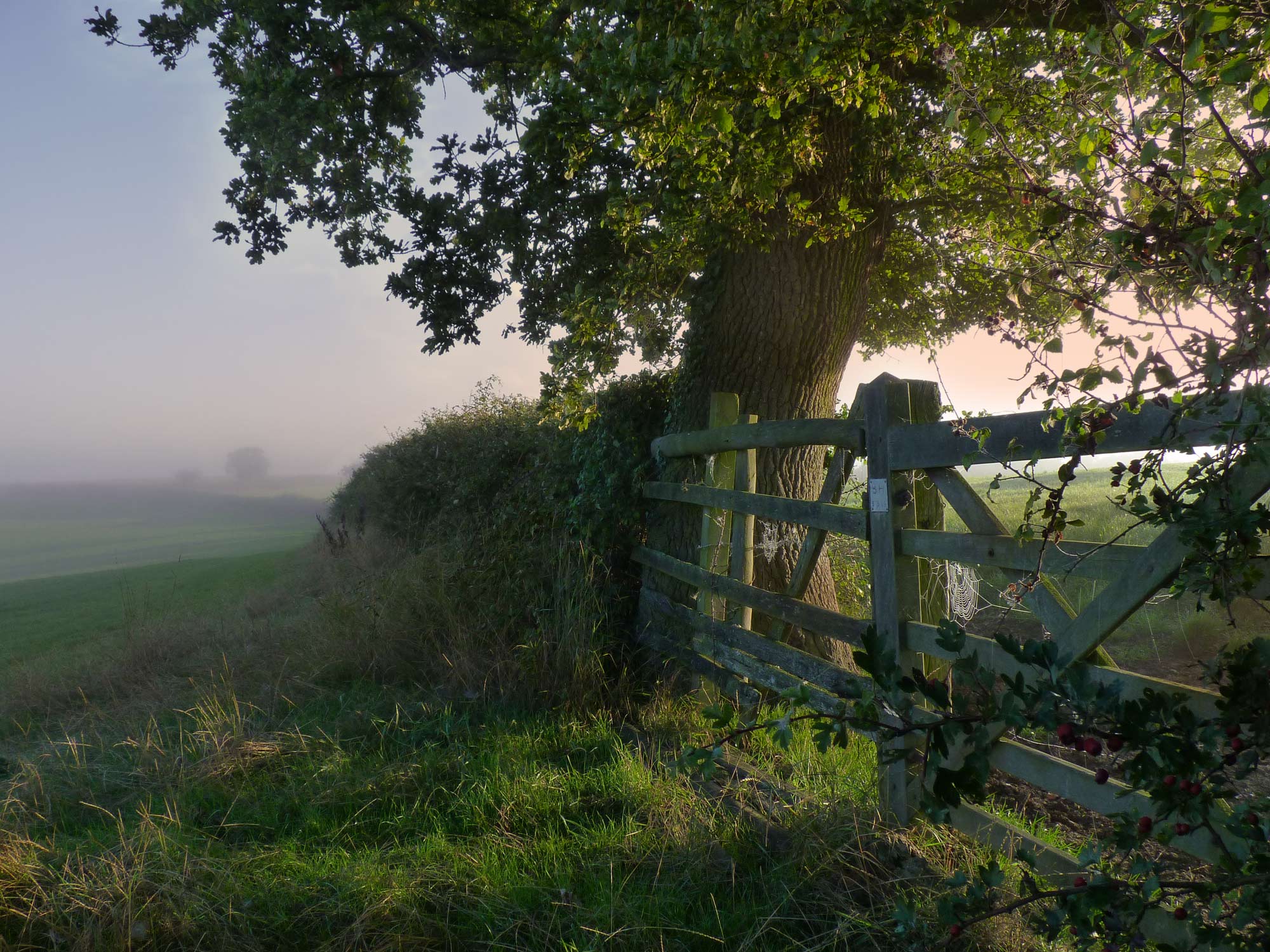 View from a walk around North Marston
